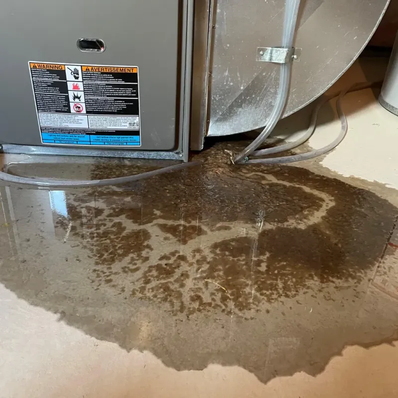 Appliance Leak Cleanup in Hyde Park, UT