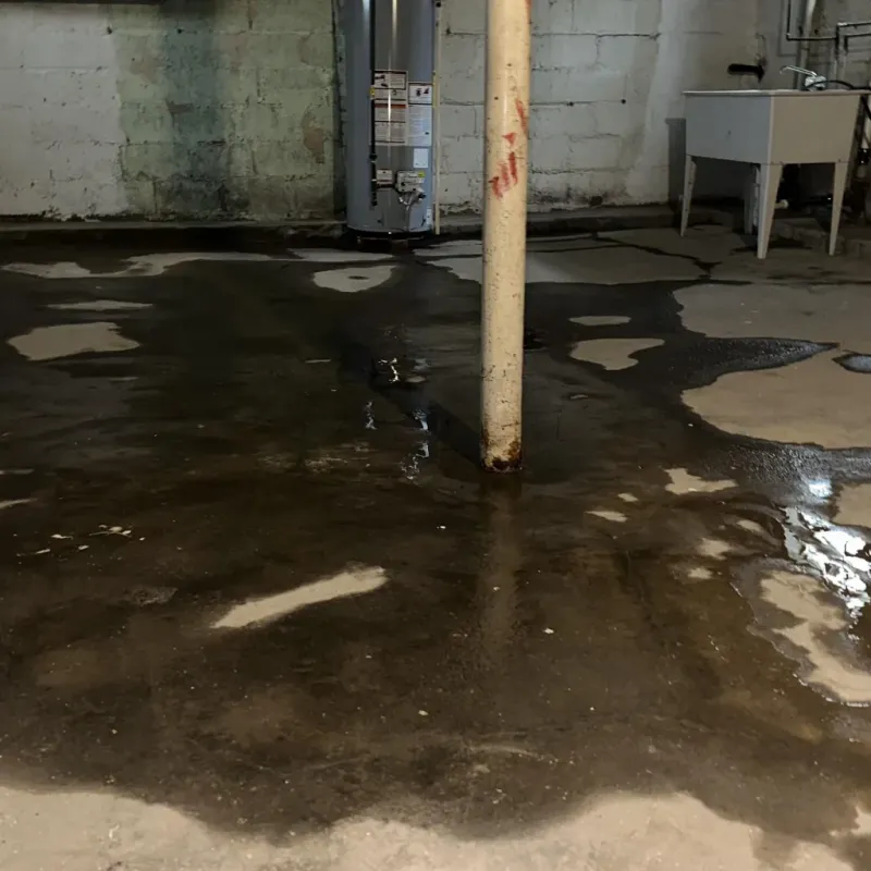 Emergency Water Extraction And Removal in Hyde Park, UT
